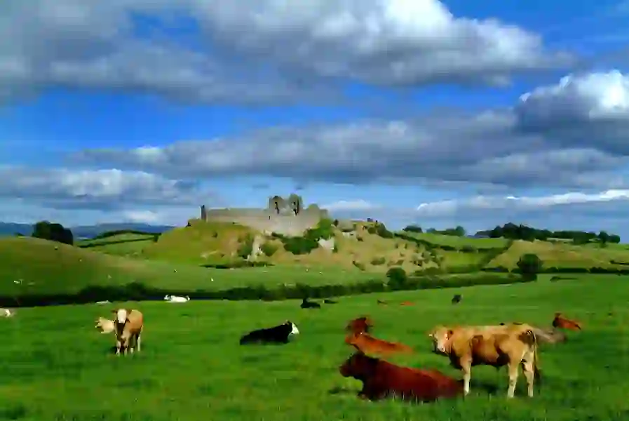 Roche Castle - Header