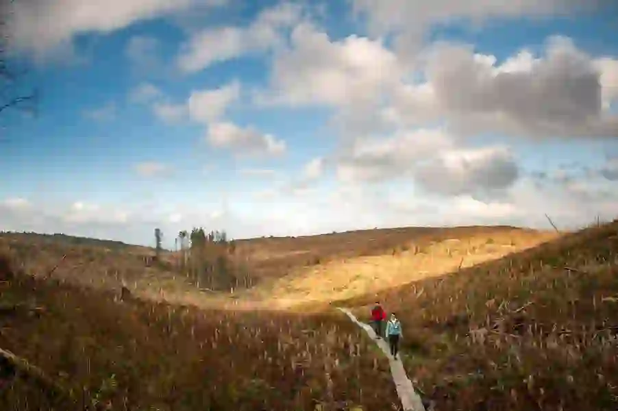 Cavan Burren Park_web-size_2500x1200px copy 2
