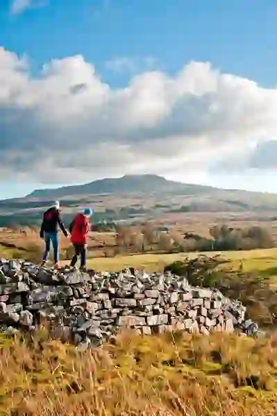 Cavan Burren Park Co Cavanwebsize2500x1200px