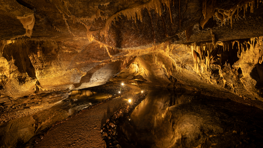 Walkway through Marble Arch Caves with stalactites overhead and underground river pools in County Fermanagh.