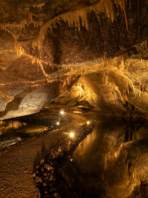 Walkway through Marble Arch Caves with stalactites overhead and underground river pools in County Fermanagh.
