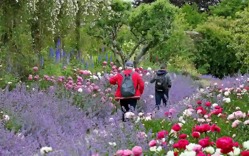 mountcongrevegardenscowaterfordflowersv2