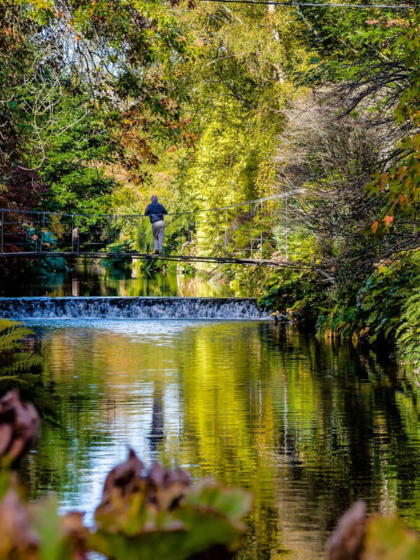 mount-usher-gardens-county-wicklow-hero-v1