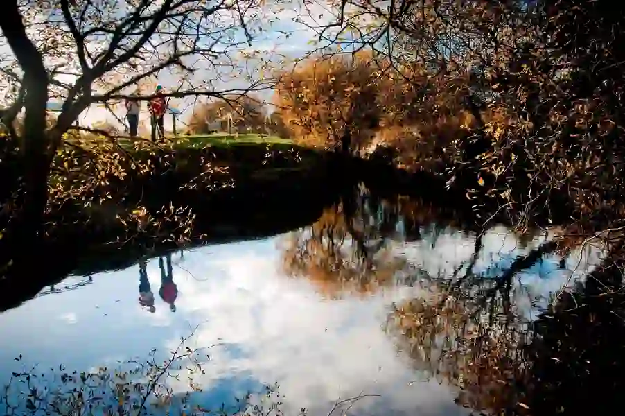 Shannon Pot - Header