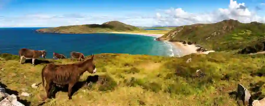 tra-na-rossan-beach-large-hero-2