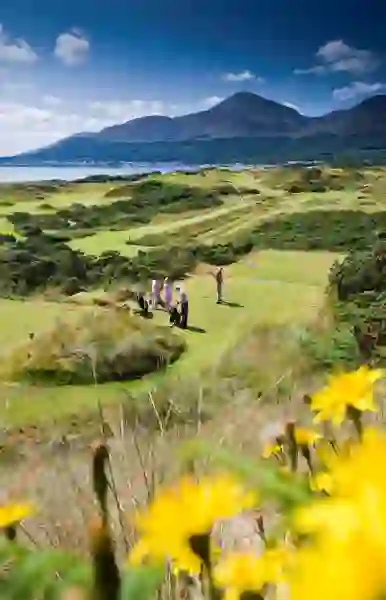 Royal County Down Golf Club
