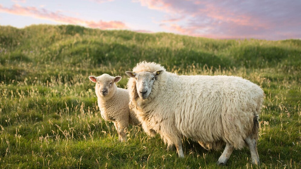 topthingsspring-hero-v1