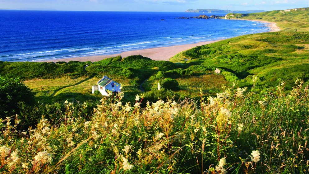 A small cottage overlooks golden sand and blue Atlantic surf along a lush green coastline in summer in Donegal.