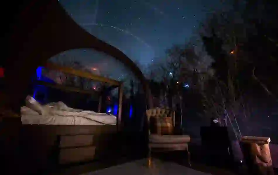 Inside a forest bubble dome at Finn Lough, a bed and chair sit under a clear canopy with stars visible above.