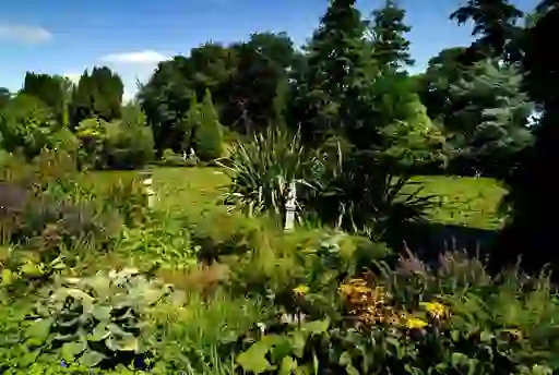Vibrant greenery and flowers surrounding a lily-covered pond in Altamont Garden, Carlow.