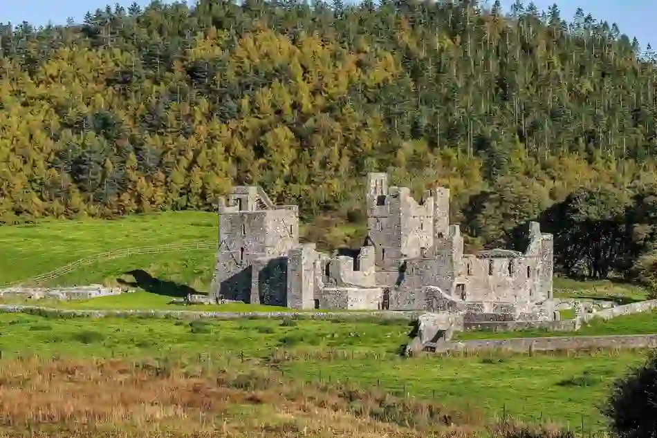 wonders-of-fore-fore-abbey-county-westmeath-shutterstock_2068324613