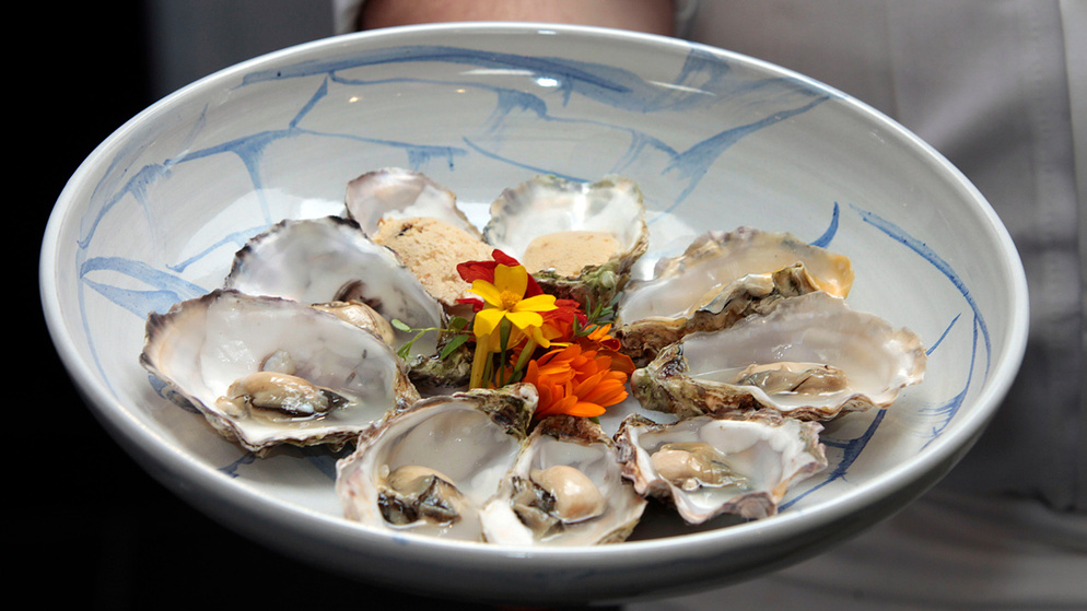 Plate of oysters