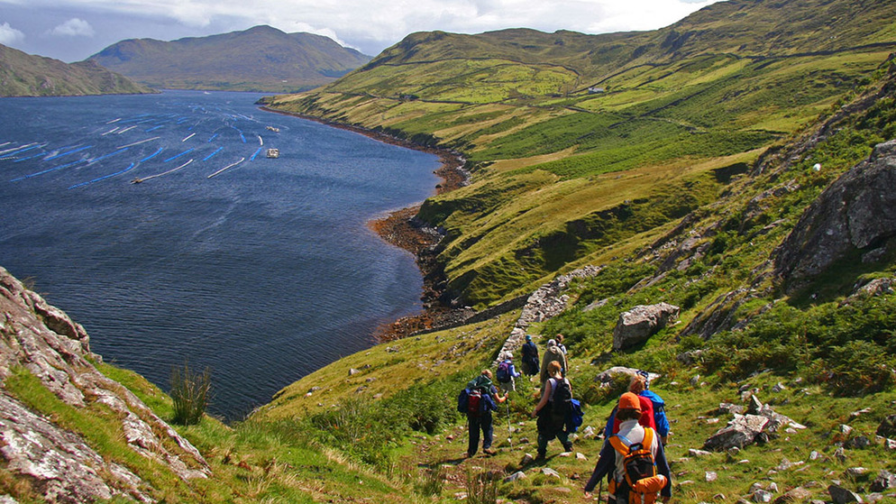 w601_b_walking-festivals-bg