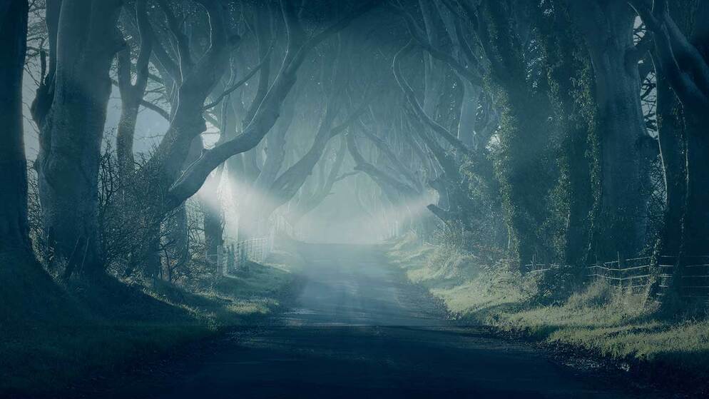 got-doors-background