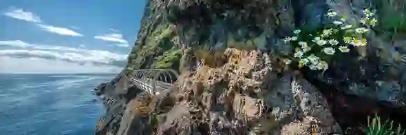 The Gobbins, County Antrim