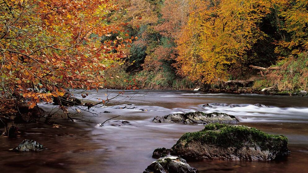 Visitors gaze through a telescope at OM Dark Sky Park &amp; Observatory, exploring the wonders of the night sky.