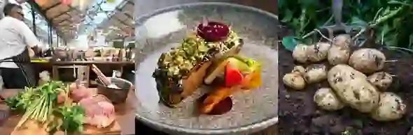Born and Braised