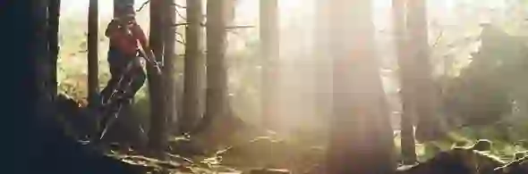 Glencullen Adventure Park