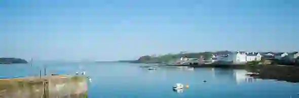 charming-towns-strangford-lough-strip